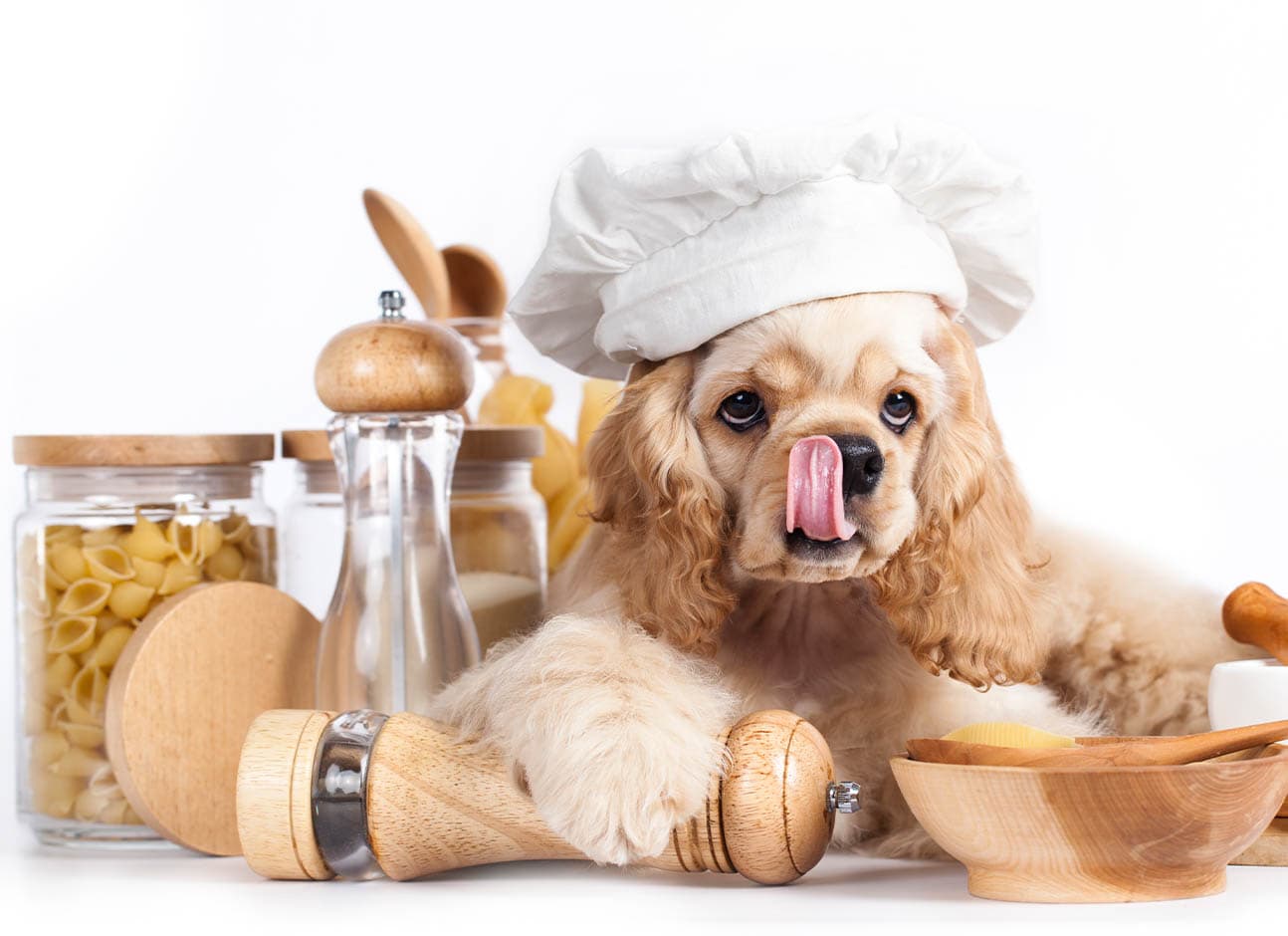 Dog and raw pasta