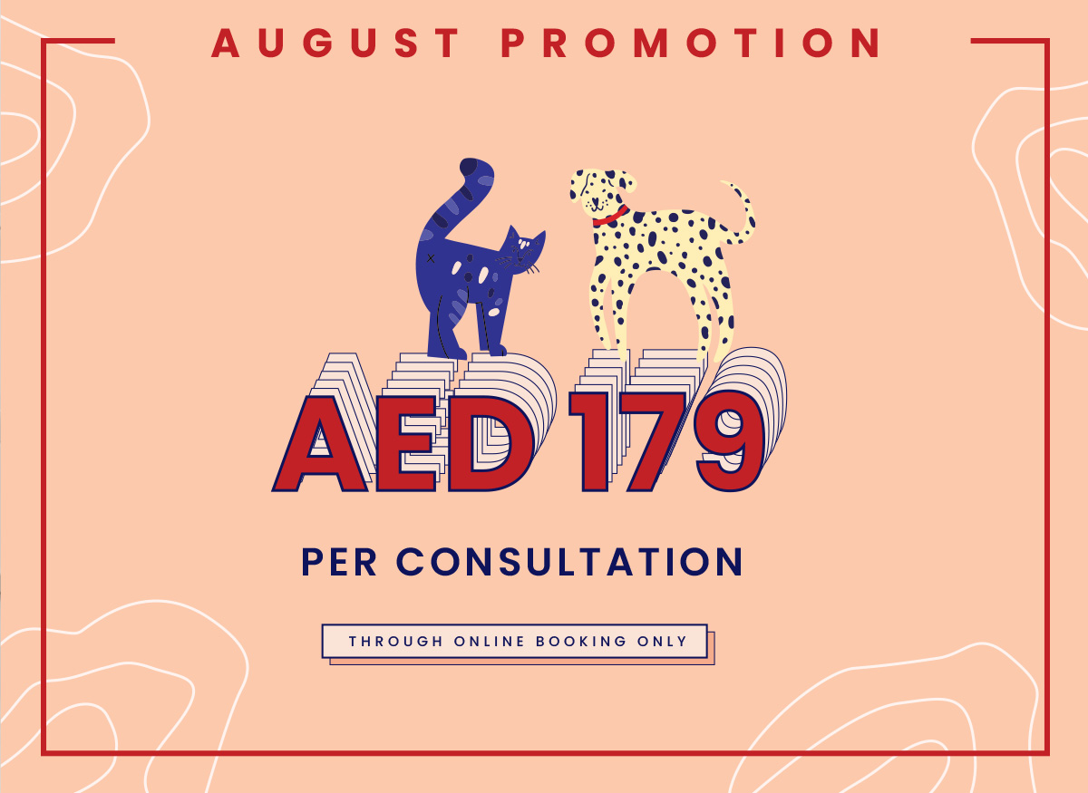 August Consultation Special