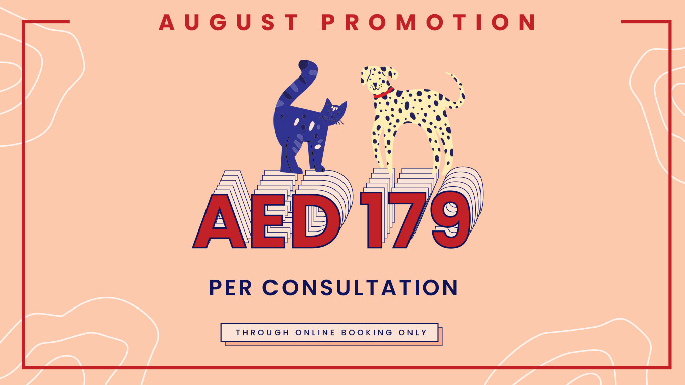 August Consultation Special