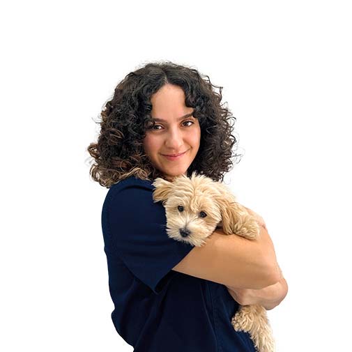 Dr. Dania Attieh in Modern Vet Clinic