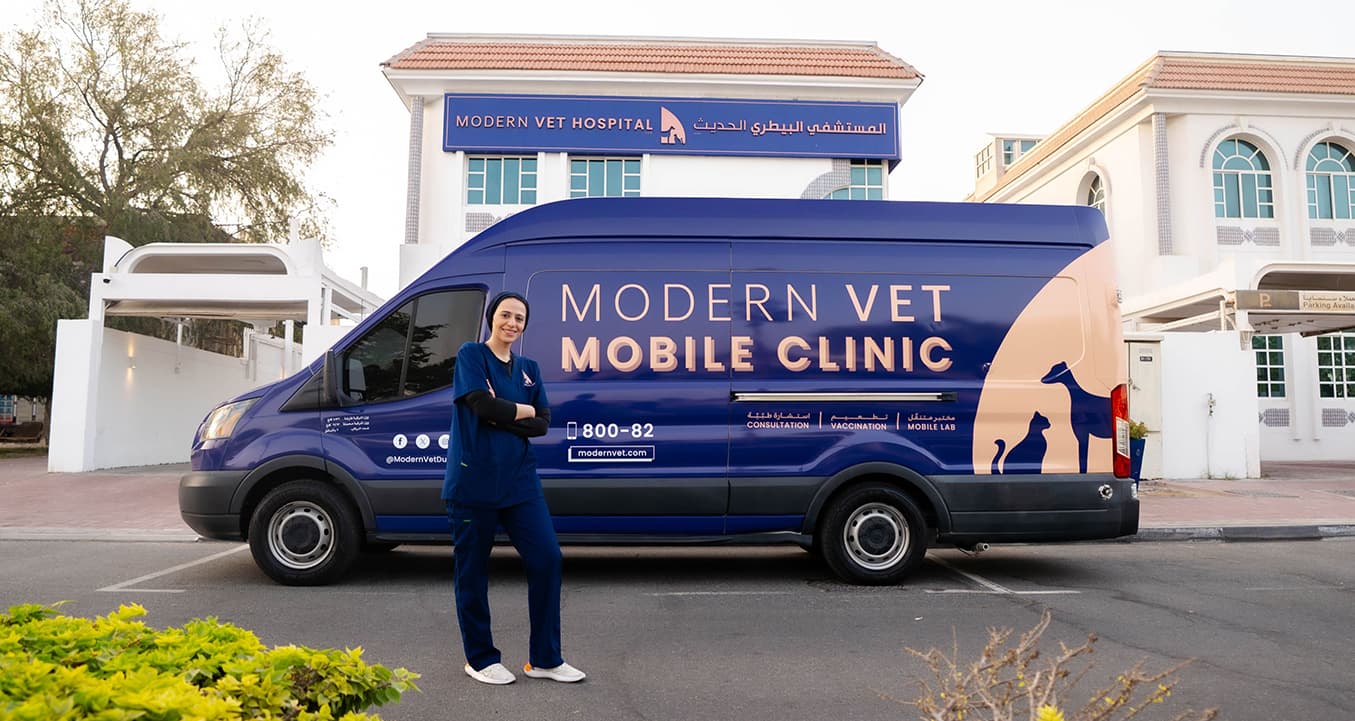 mobilevetnew