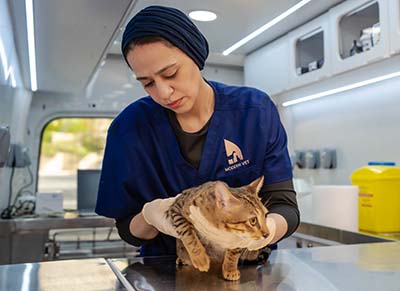 Home Vet 400×291