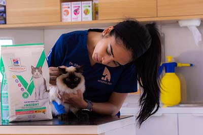 Spay 400×267