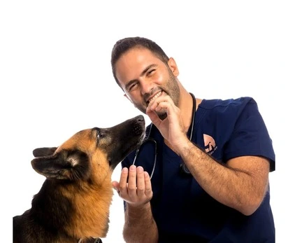 ModernVet-Veterinary-Clinics