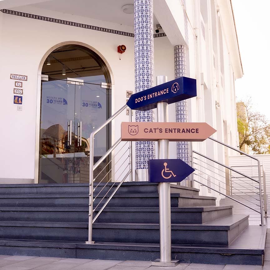 MV Hospital Cat entrance (1) MV Hospital Cat entrance