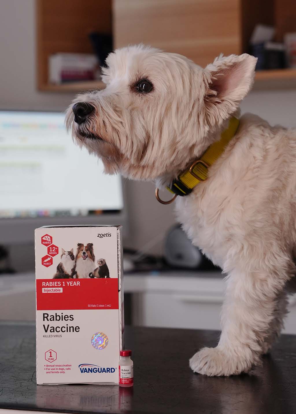 pet-vaccination-img updated