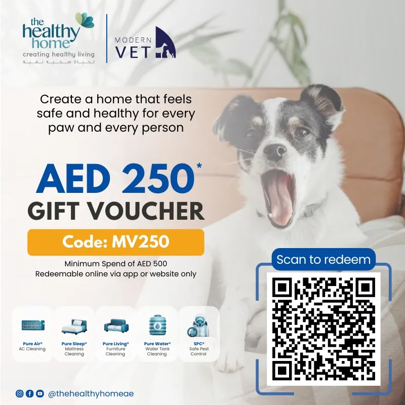 healthy-home-voucher