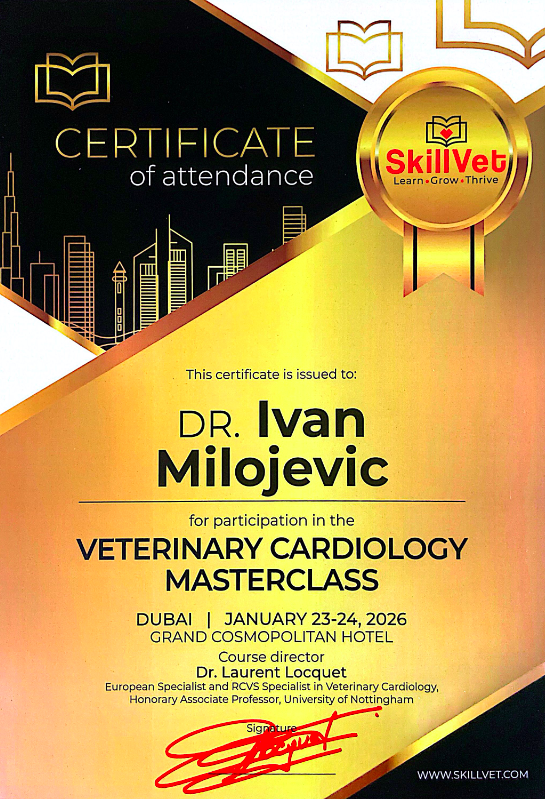 Cardio master class Certificate