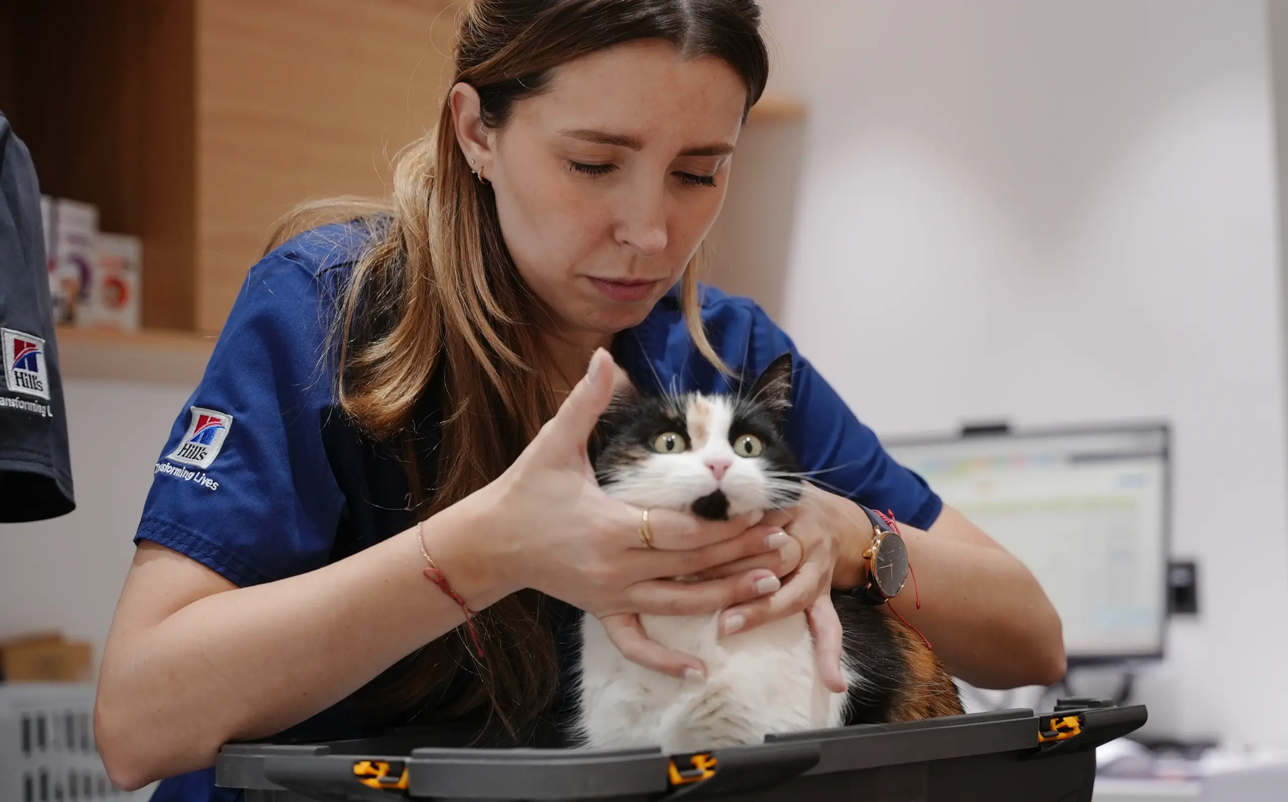 FELINE IMMUNODEFICIENCY