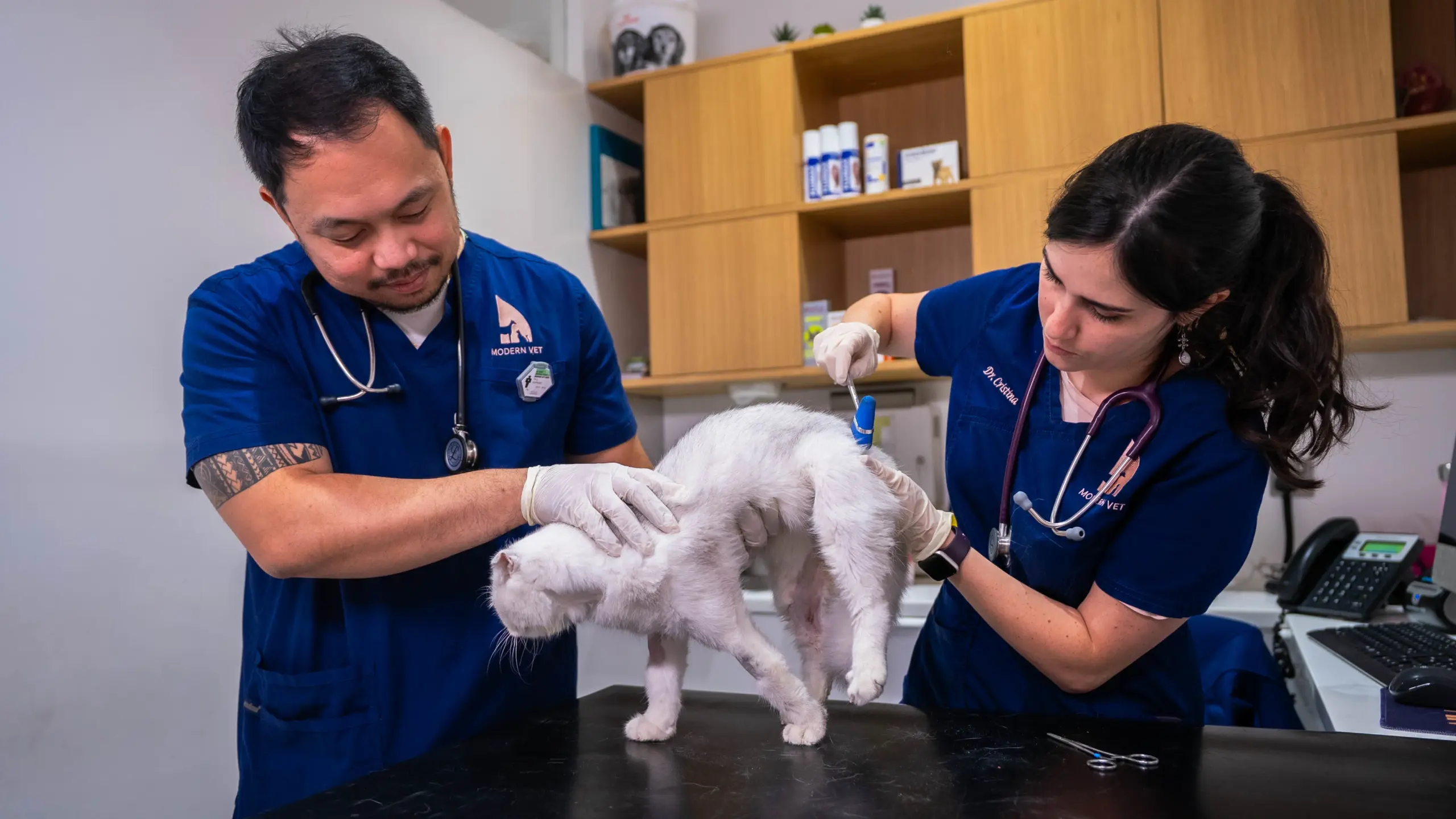 LIMPING IN CATSCAUSES AND TREATMENT