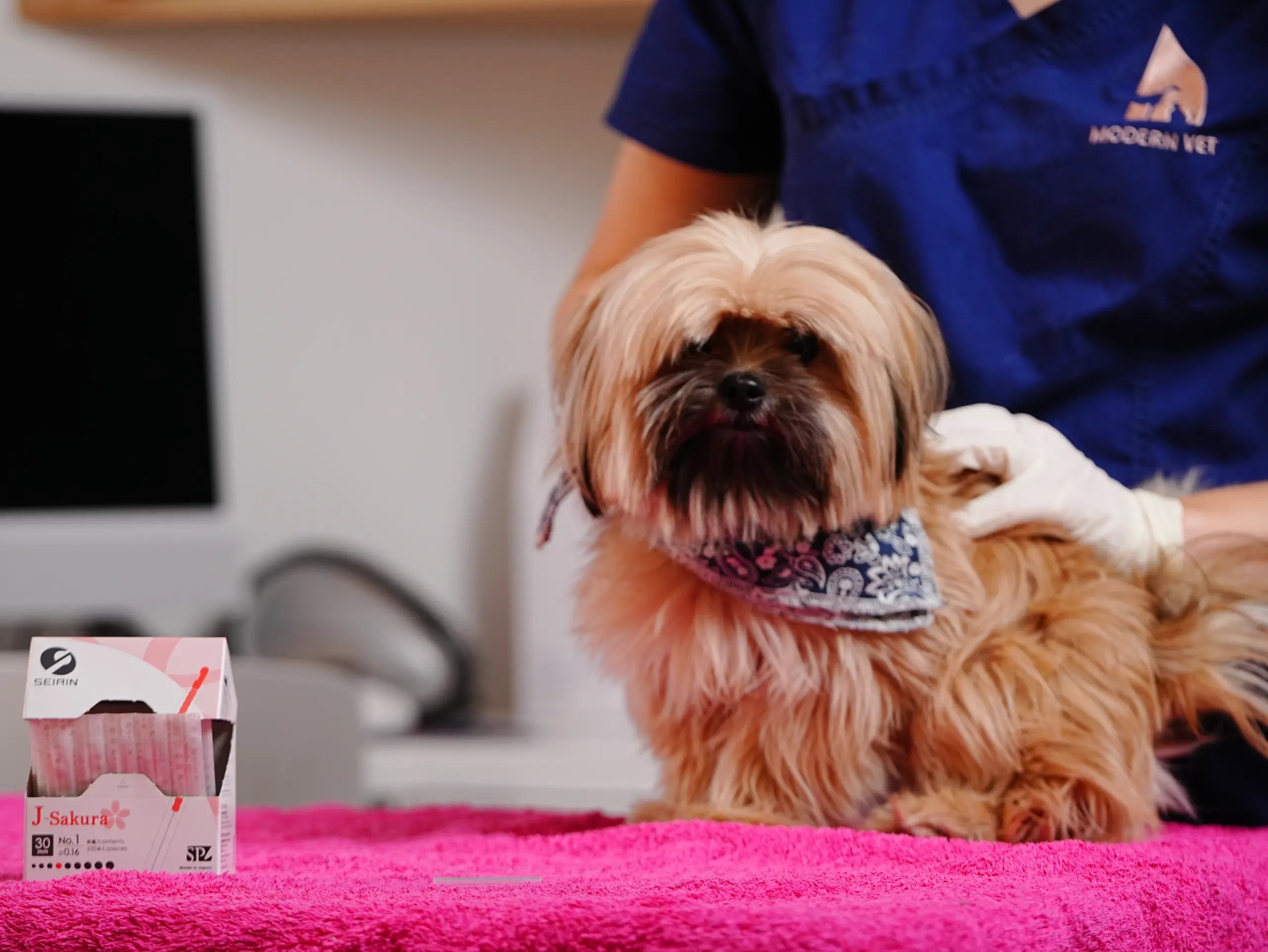 PAIN IN DOGS AND CATS