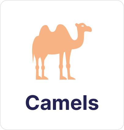 camels