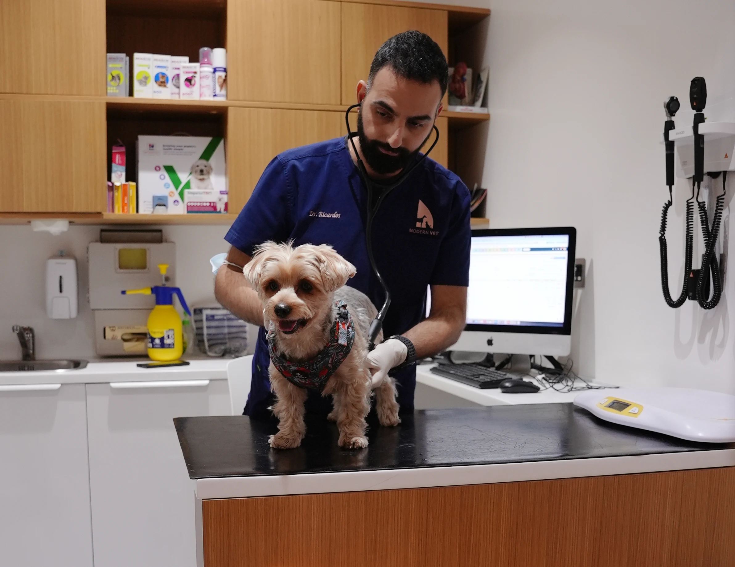coughing in dogs