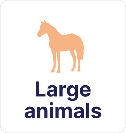 large animals