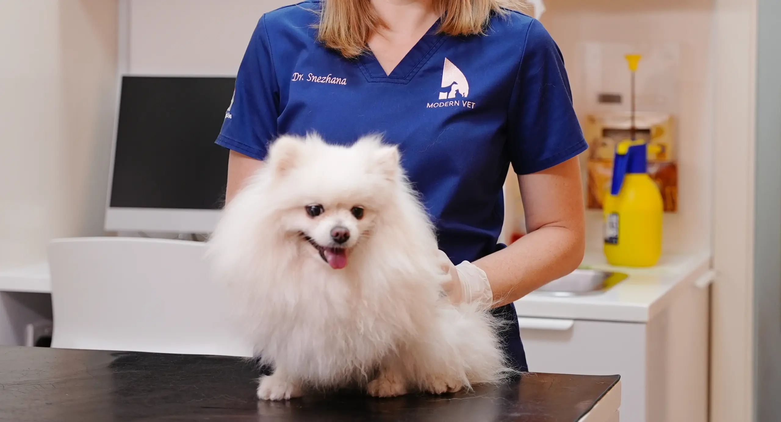 DIARRHEA IN DOGS